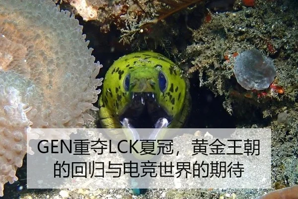 GEN重夺LCK夏冠，黄金王朝的回归与电竞世界的期待